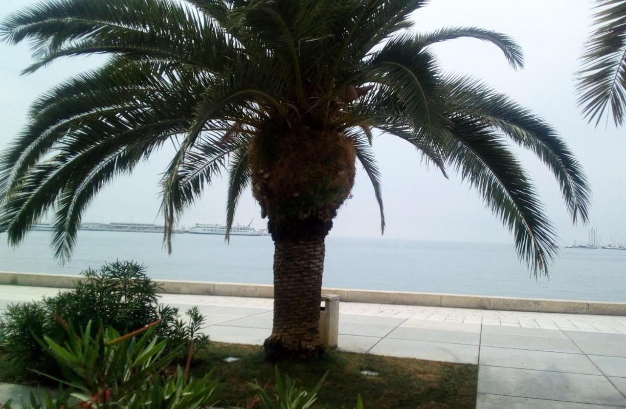 Elly Apartments Split Bagian luar foto